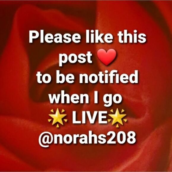 🌟Posh Live Shows🌟 Pop Up Shows 🌟 Follow the 🌹@norahs208 🌹 - Picture 1 of 1